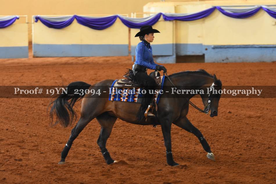Proof 19YN_23094