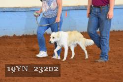 19YN_23202 proof