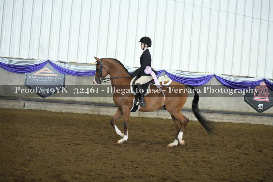 Proof 19YN_32461