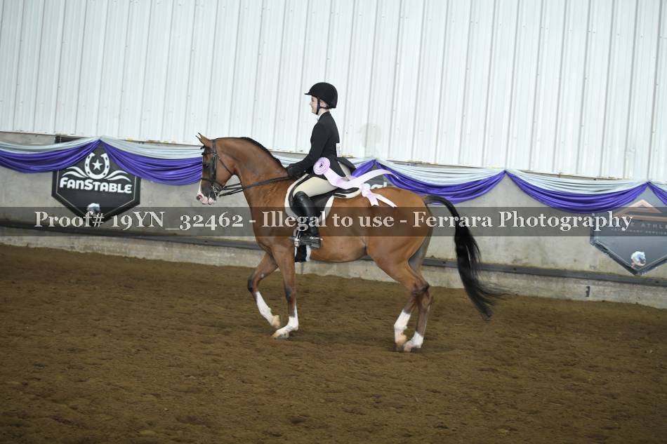 Proof 19YN_32462