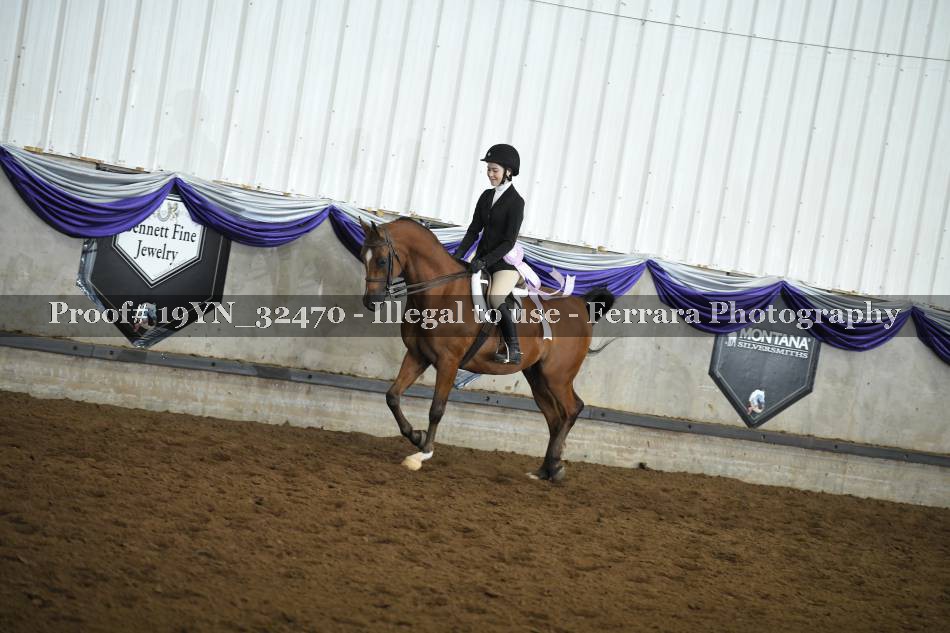 Proof 19YN_32470
