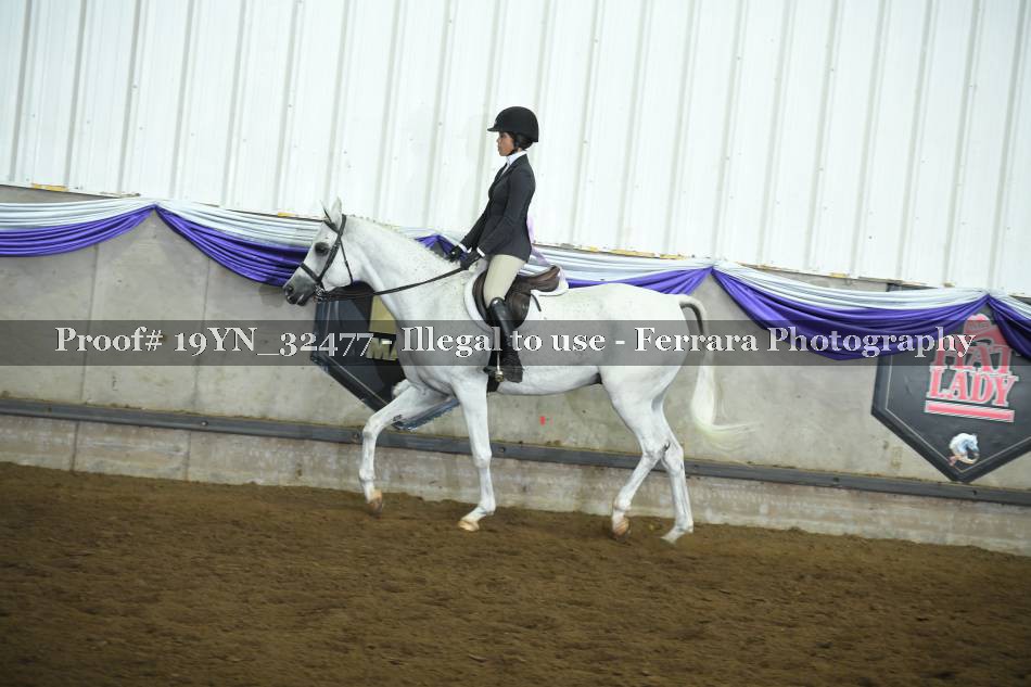 Proof 19YN_32477