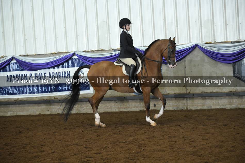 Proof 19YN_39963