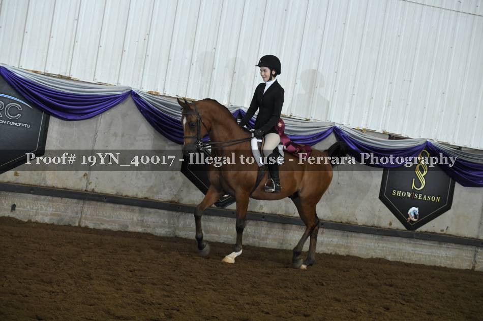 Proof 19YN_40017