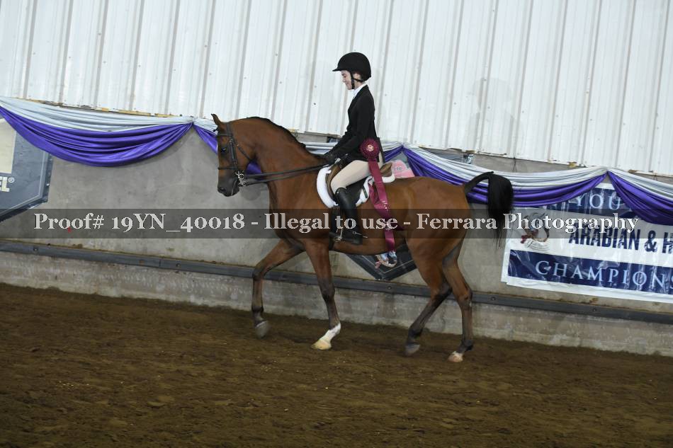 Proof 19YN_40018
