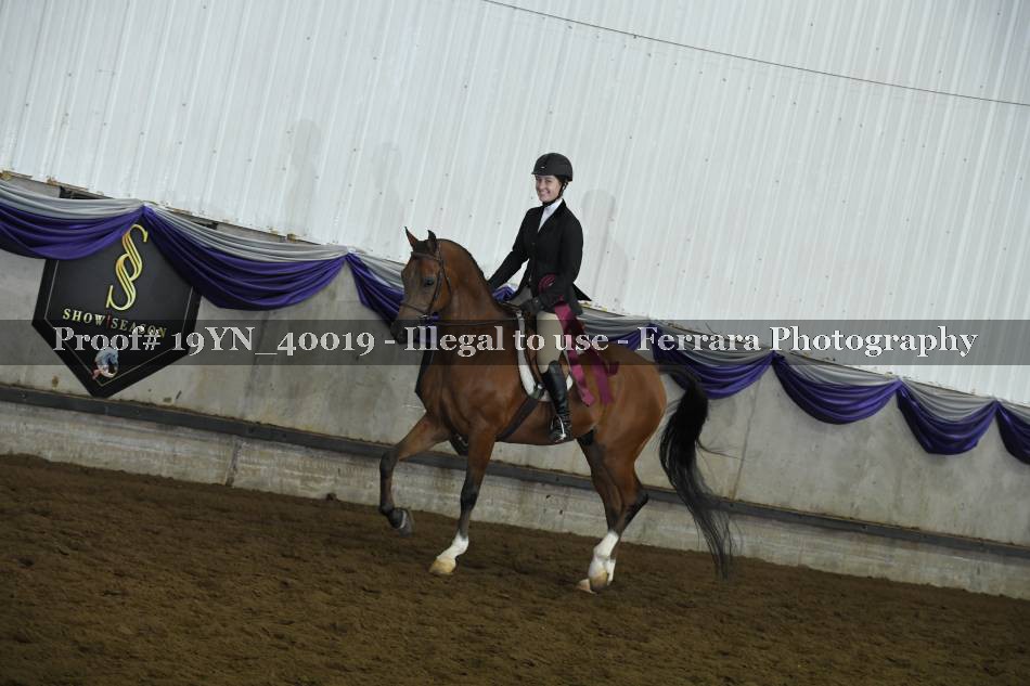 Proof 19YN_40019