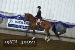 19YN_40021 proof