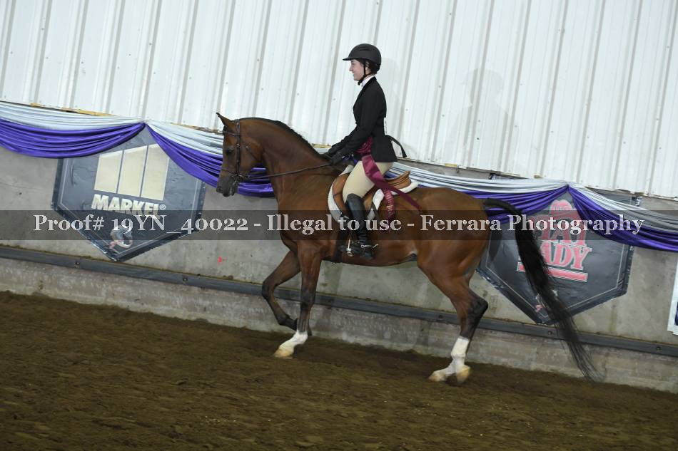 Proof 19YN_40022