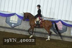 19YN_40022 proof