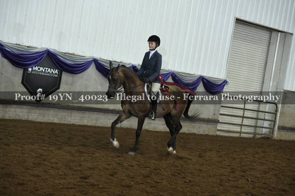 Proof 19YN_40023