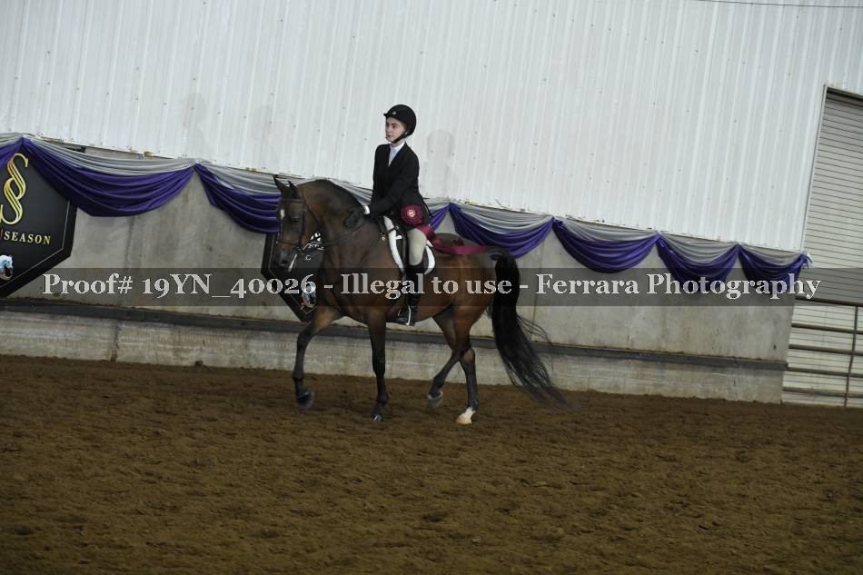 Proof 19YN_40026