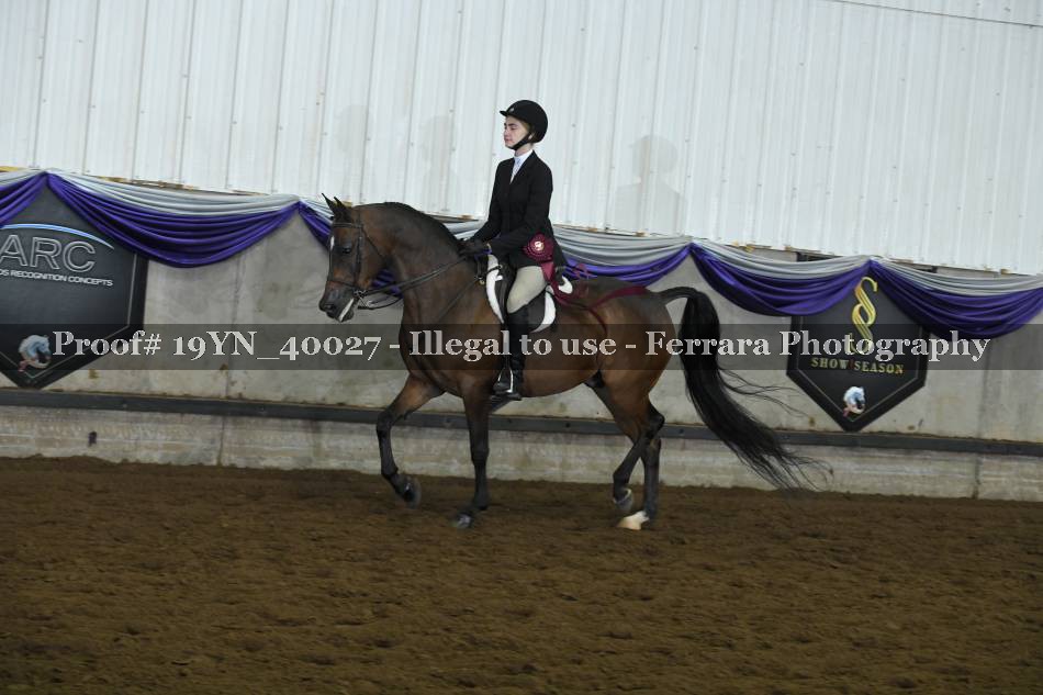 Proof 19YN_40027