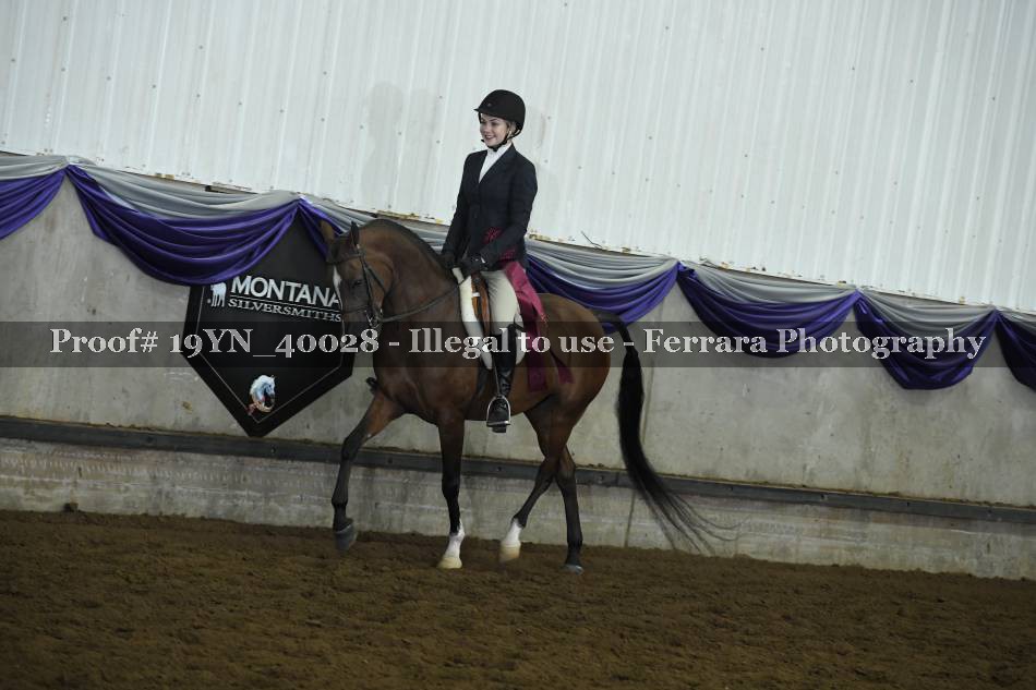 Proof 19YN_40028