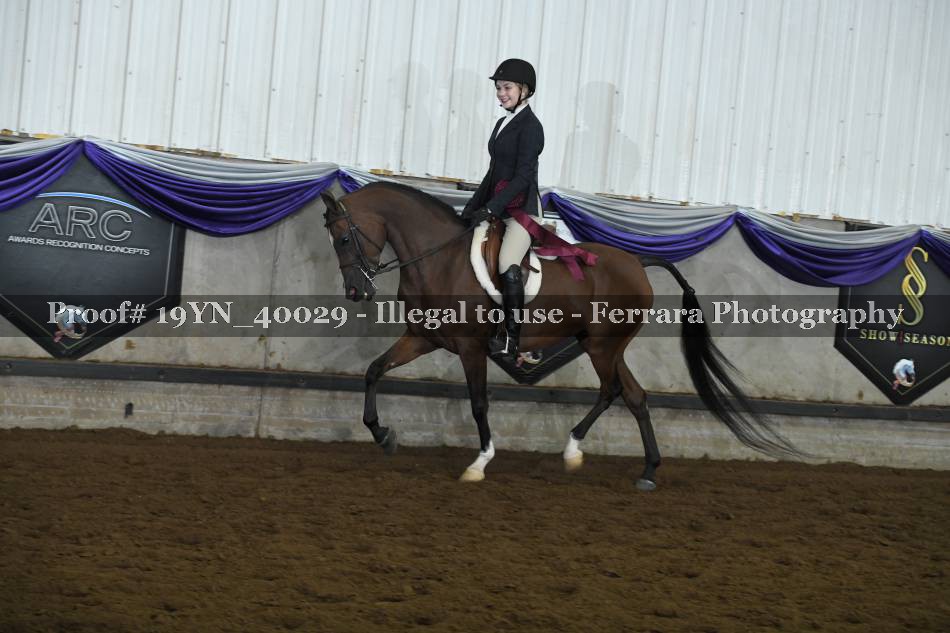 Proof 19YN_40029