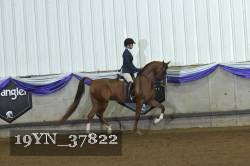 19YN_37822 proof