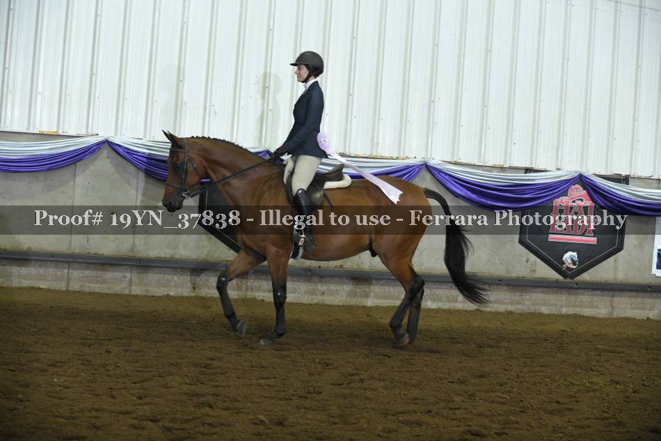 Proof 19YN_37838