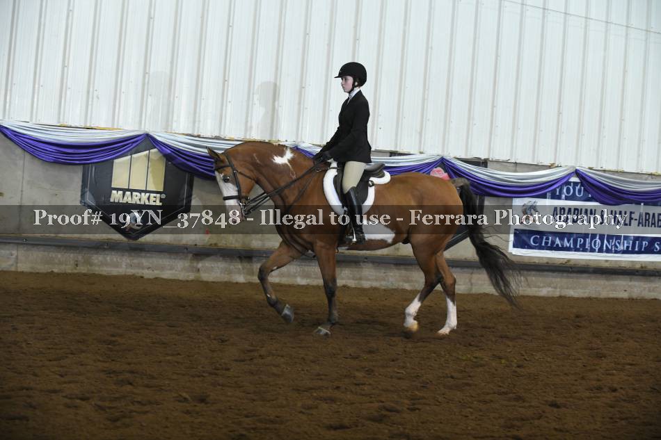 Proof 19YN_37848