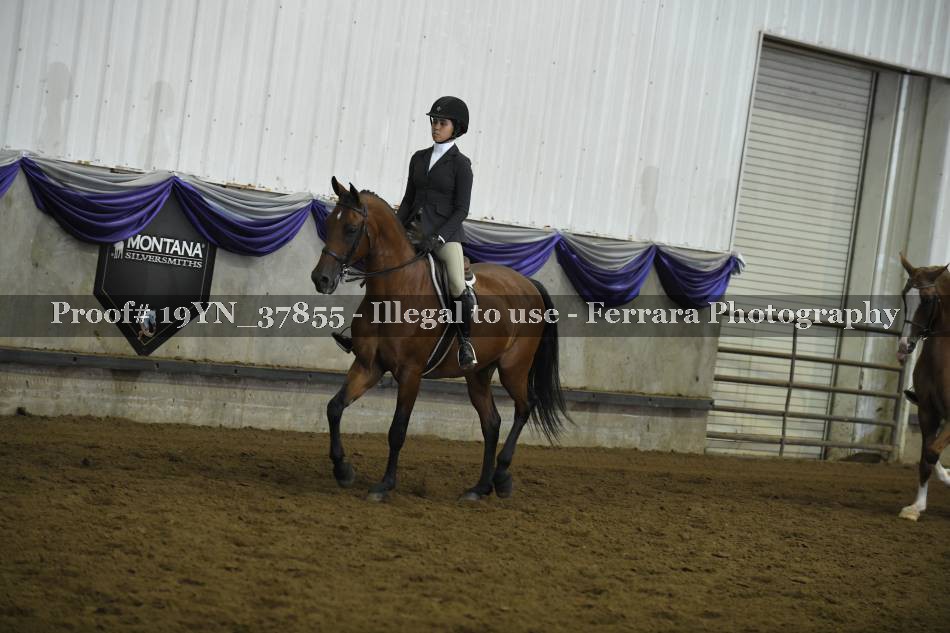 Proof 19YN_37855