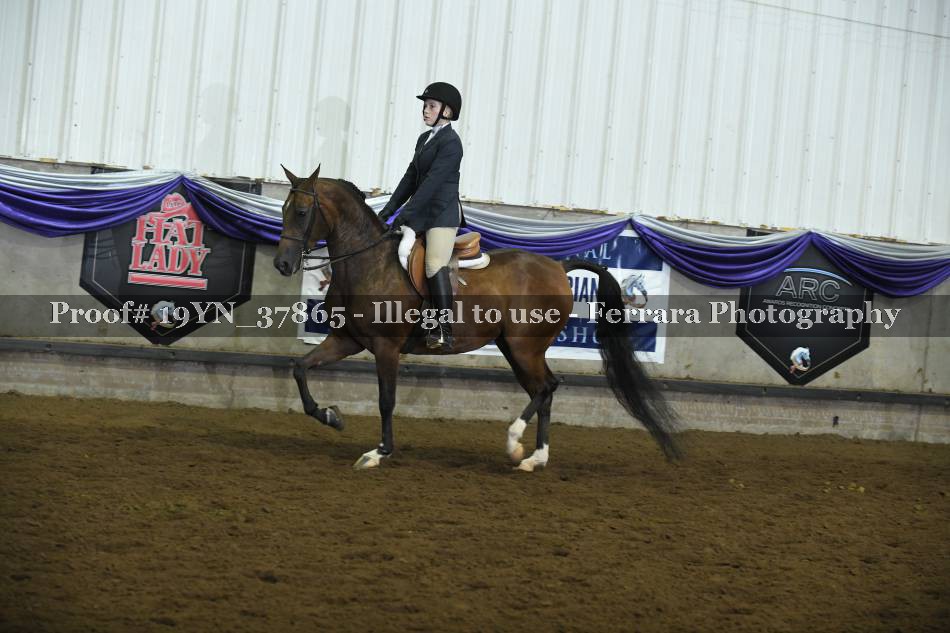 Proof 19YN_37865