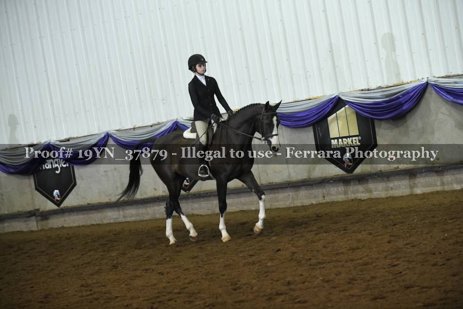 Proof 19YN_37879