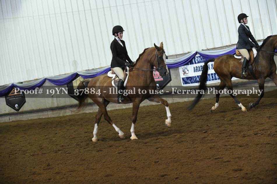 Proof 19YN_37884