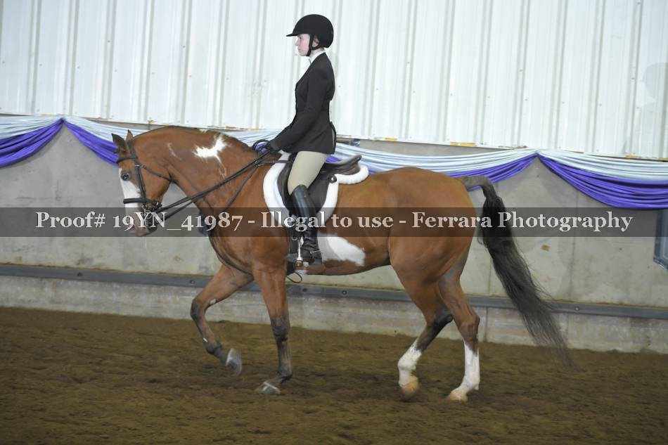 Proof 19YN_41987