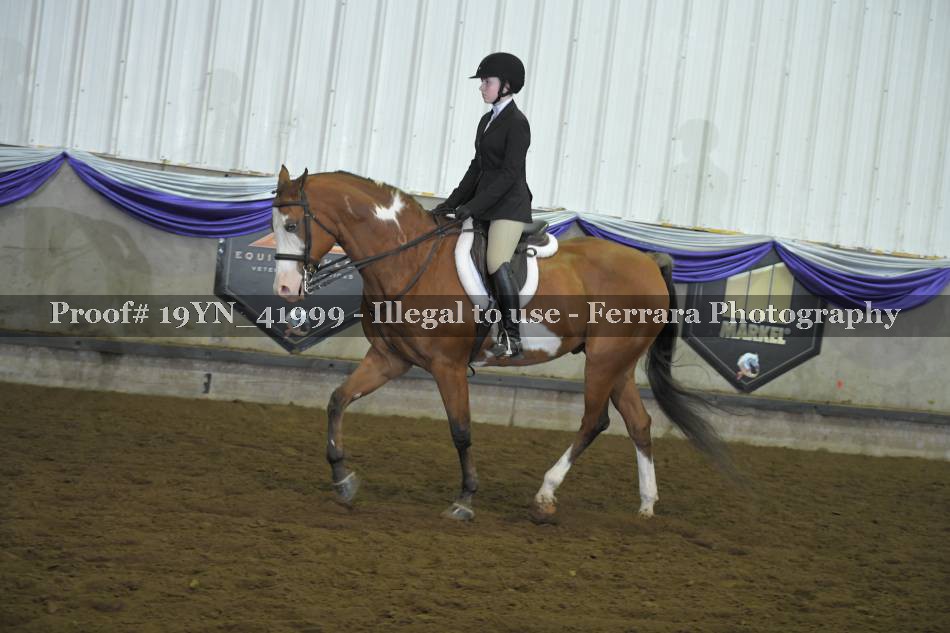Proof 19YN_41999