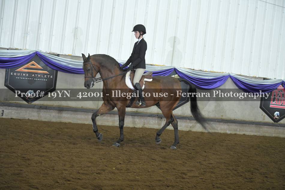 Proof 19YN_42001