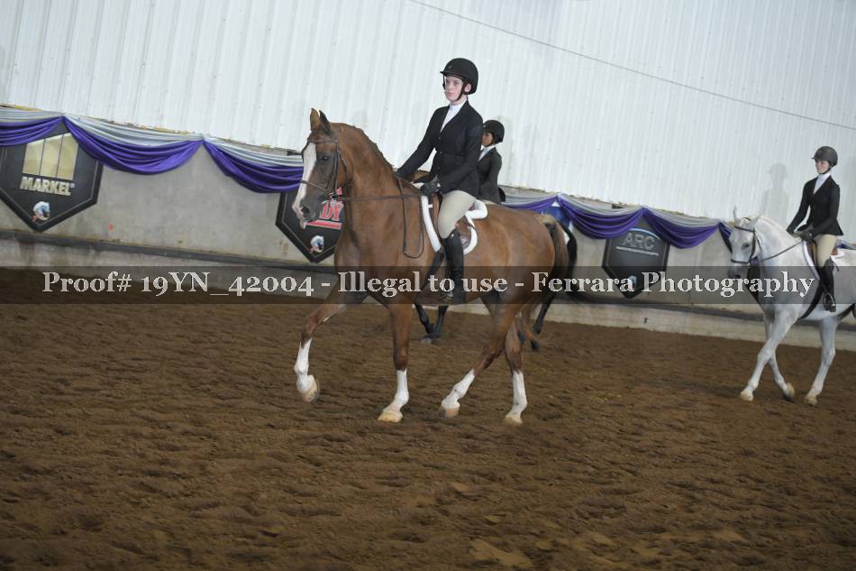 Proof 19YN_42004