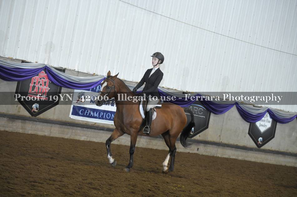 Proof 19YN_42006