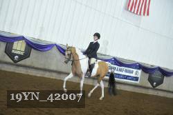 19YN_42007 proof