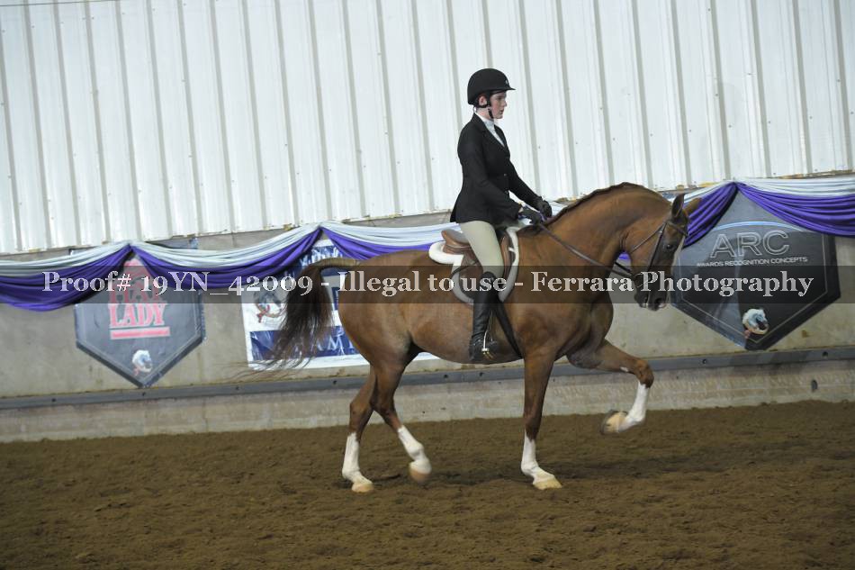 Proof 19YN_42009