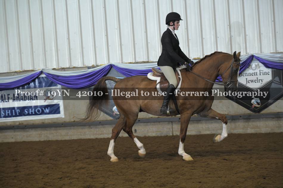 Proof 19YN_42010