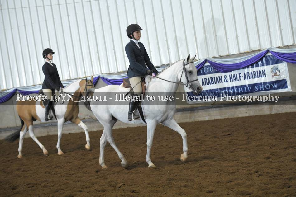 Proof 19YN_42011