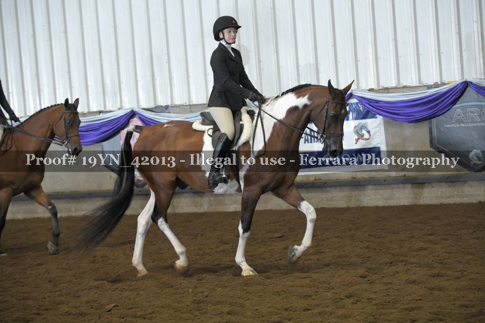 Proof 19YN_42013