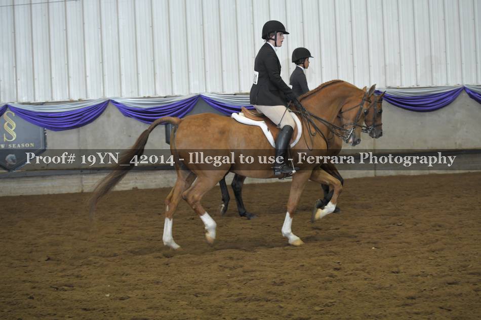 Proof 19YN_42014