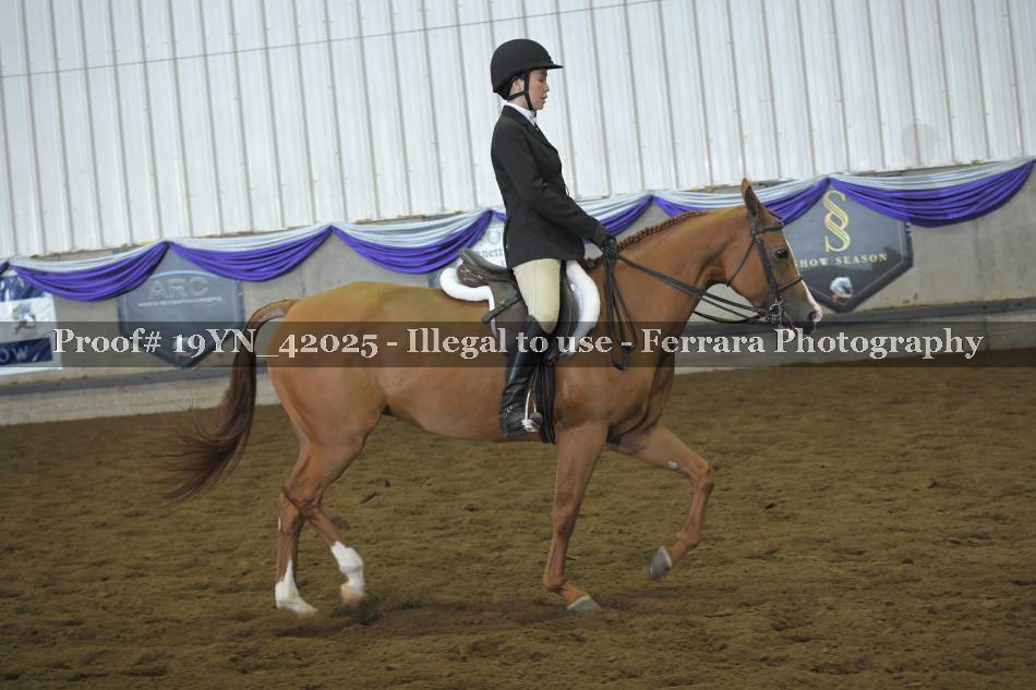 Proof 19YN_42025