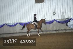 19YN_42029 proof