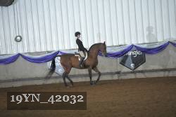 19YN_42032 proof