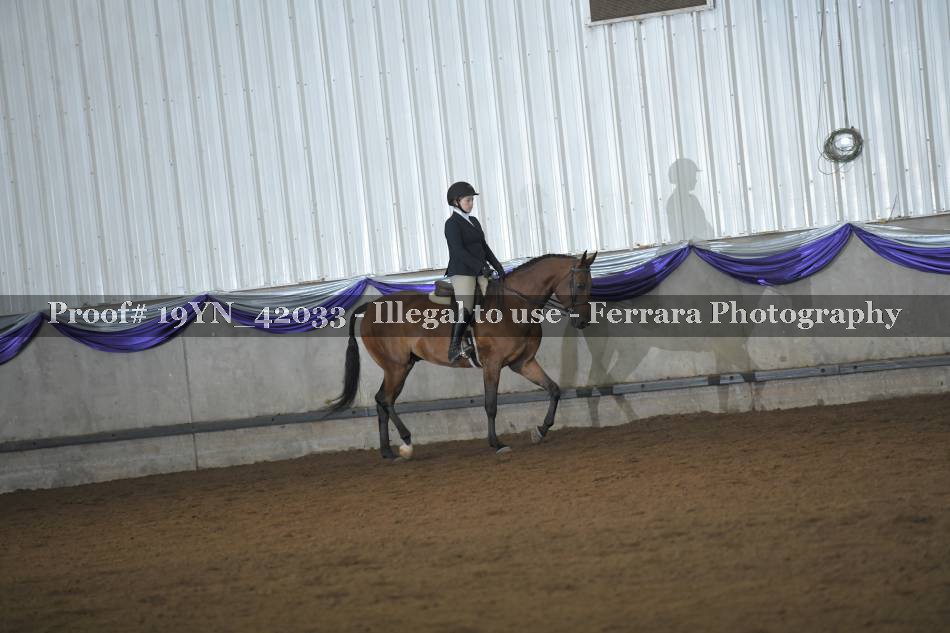 Proof 19YN_42033