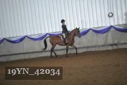 19YN_42034 proof