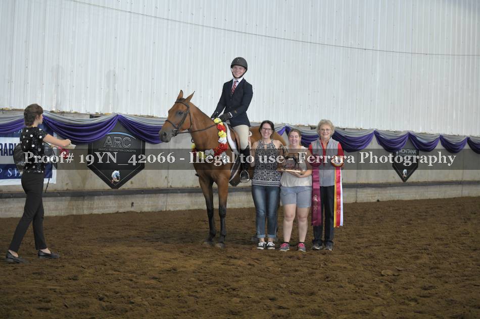Proof 19YN_42066