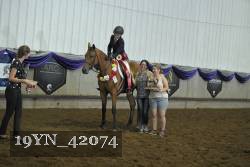 19YN_42074 proof