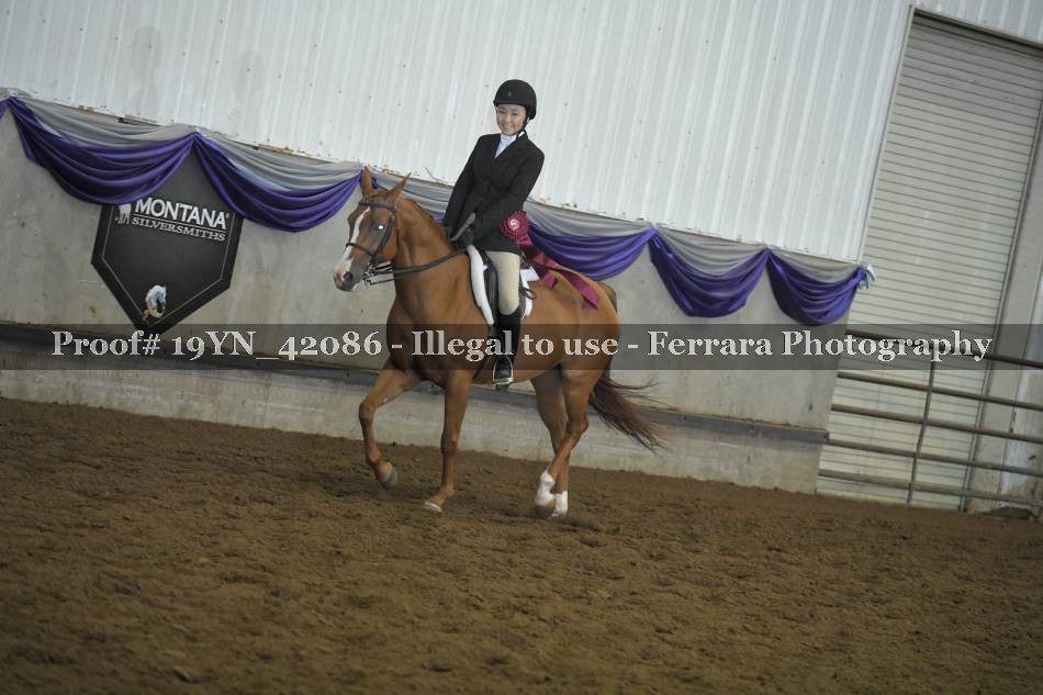Proof 19YN_42086