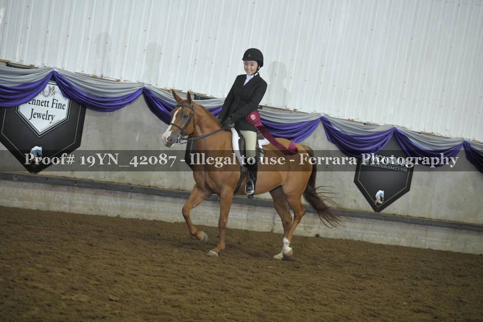 Proof 19YN_42087