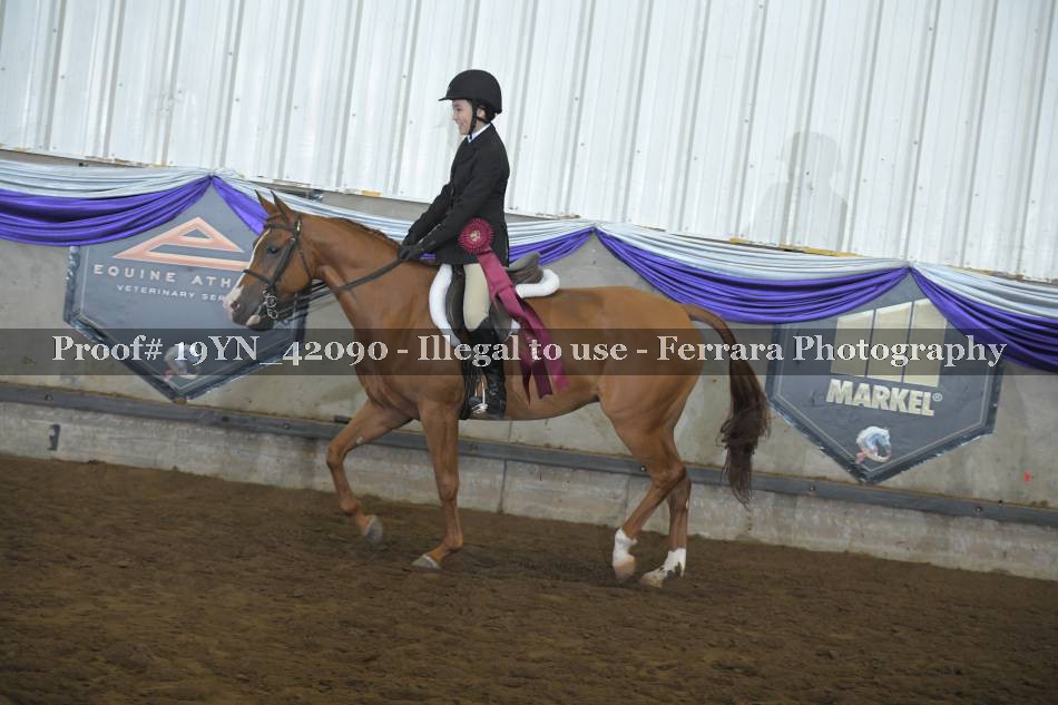 Proof 19YN_42090