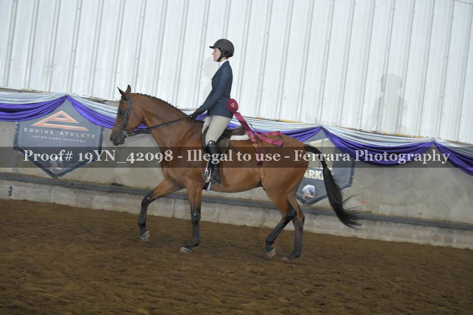 Proof 19YN_42098