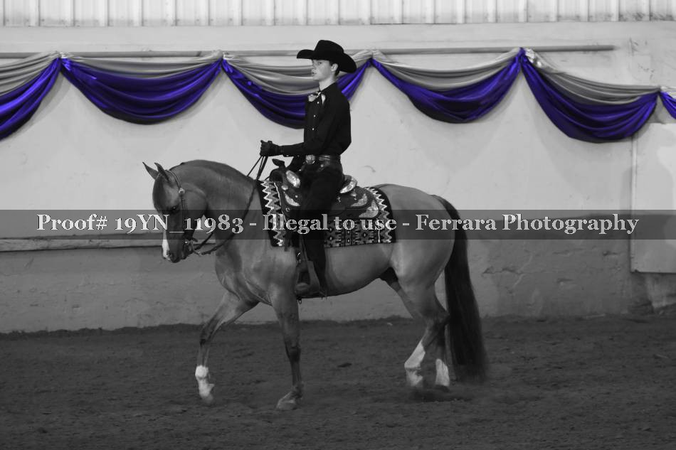 Proof 19YN_11983