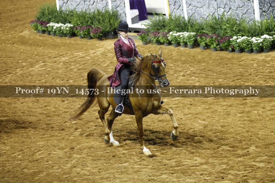 Proof 19YN_14573