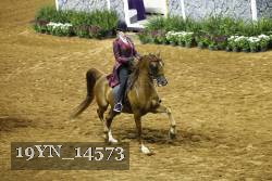 19YN_14573 proof
